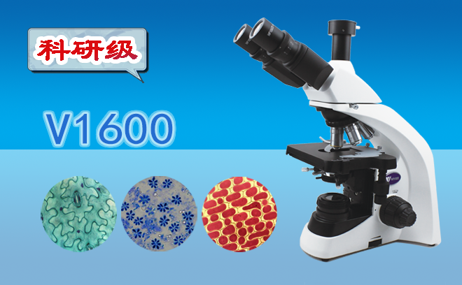 顯微鏡的工作原理以及高倍顯微鏡的使用方法是什么呢？